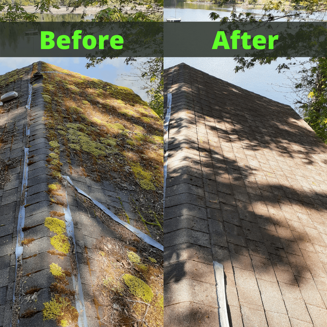 how-to-clean-moss-off-your-roof